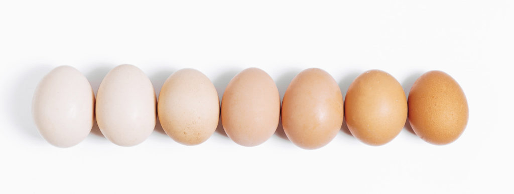 Eggs are one of the few food sources of vitamin D.