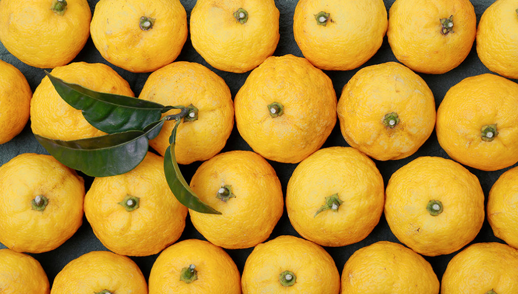 Australian citrus in season: yuzu